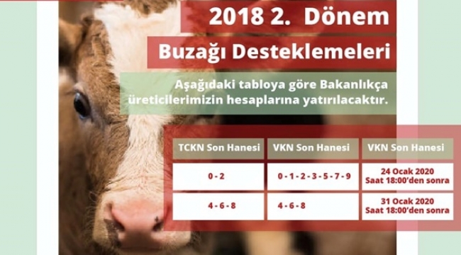 2018 Yılı 2. Dönem Buzağı Destekleme Ödemeleri Başlıyor