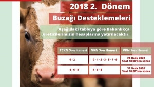 2018 Yılı 2. Dönem Buzağı Destekleme Ödemeleri Başlıyor