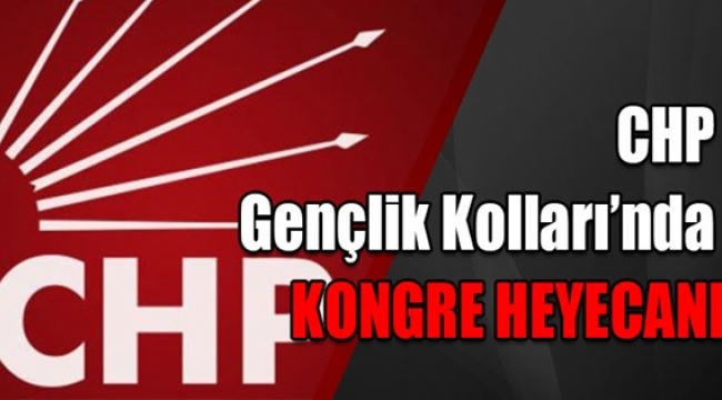 CHP Silivri İlçe Gençlik Kolları Kongresi Yarın!