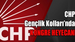 CHP Silivri İlçe Gençlik Kolları Kongresi Yarın!