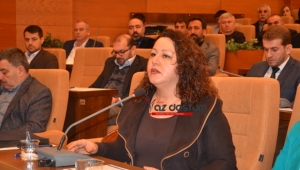 Güler: "Cemevlerine İbadethane Statüsü Verilmesine TBMM Karar Vermeli"