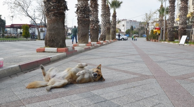 Sıcaklıklar Mevsim Normallerine Yükselecek