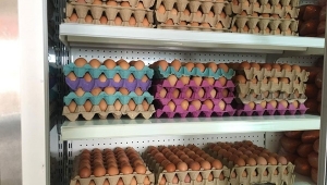 Ümit Kocabıyık'tan Gıda Bankası'na Bağış