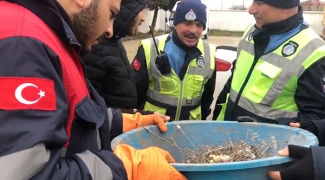 Belediye Ekipleri İki Yavru Güvercini Kurtardı