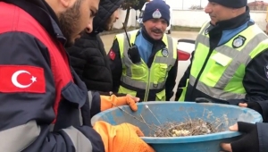 Belediye Ekipleri İki Yavru Güvercini Kurtardı