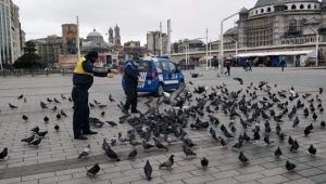 İstanbul'un Can Dostları Zabıtaya Emanet