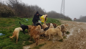 Paçalı: Açlıktan Birbirini Yiyorlar!