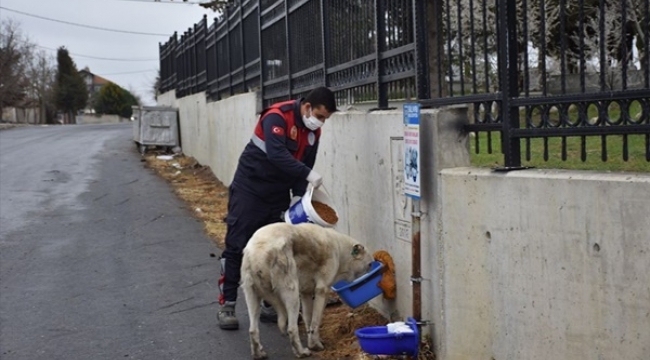 Silivri'de Can Dostlarımıza Mama Desteği