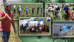 Tarım İşçilerine Koronavirüs Tedbiri