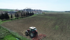 Alipaşa'da 30 Dönüm Arazi Nohut Ekimine Hazırlanıyor