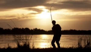 Amatör Balıkçılık Belgesi Düzenlenmesi İşlemleri Durduruldu!