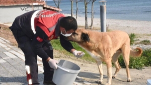 Bir Fotoğraf Karesi Bazen Çok Şey Anlatır..!