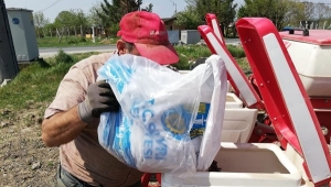 Çayırdere'de 7 Dekar Araziye Ayçiçeği Ekildi