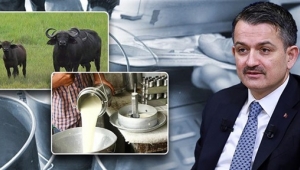 Çiğ Süt Ve Manda-Malak Destek Ödemeleri Bugün Başlıyor