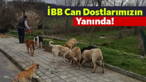 İBB can dostlarımızın yanında
