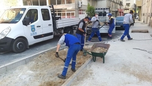 Park ve Bahçeler Müdürlüğünden Hummalı Çalışma