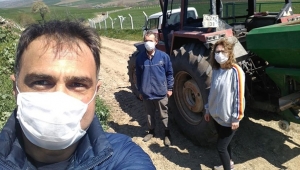 Silivri'de Buğday Tarlalarında Süne Kontrolü Başladı