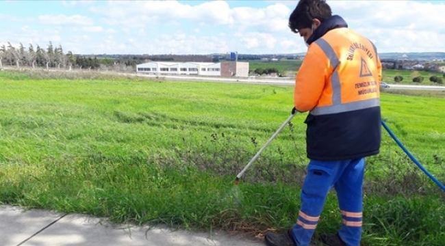 Silivri'de İlaçlama ve Ot Biçme Çalışması