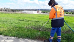 Silivri'de İlaçlama ve Ot Biçme Çalışması