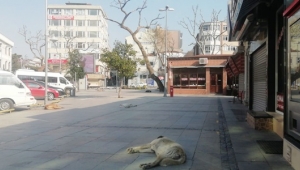 Silivri Sessizliğe Büründü!