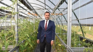 TÜRAM'da 15 Bine Yakın Atalık Sebze Fidesi Yetiştirildi