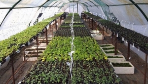 TÜRAM'da Ekmeye, Biçmeye, Üretmeye Devam!