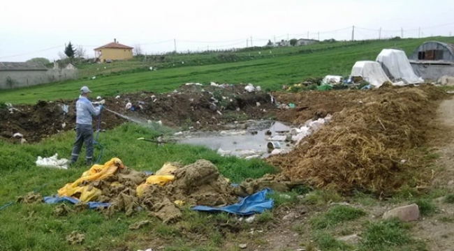 Büyükşehir'den Silivri'ye Tam Donanımlı İlaçlama Hizmeti