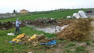 Büyükşehir'den Silivri'ye Tam Donanımlı İlaçlama Hizmeti