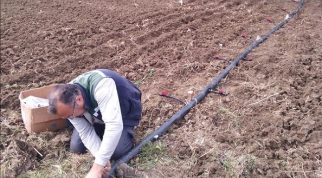 Damlama Sulama Sistemi TÜRAM'da Sebzelere Hayat Verecek 