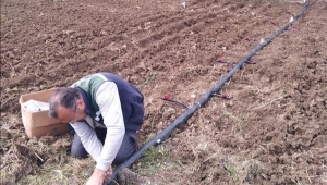 Damlama Sulama Sistemi TÜRAM'da Sebzelere Hayat Verecek 