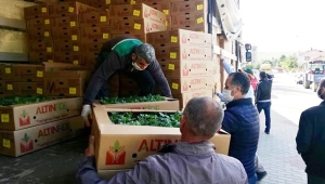 İBB 3,5 Milyon Ücretsiz Fide Dağıttı! Silivrili Çiftçilerde Sorgusuz Sualsiz Nasibini Aldı!