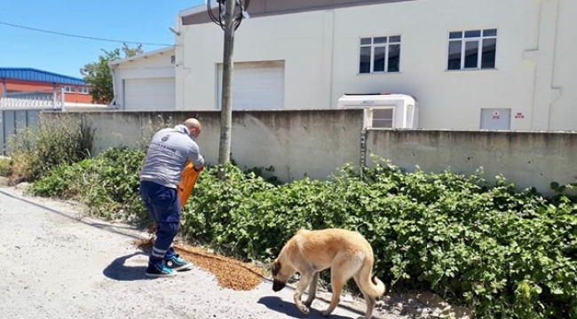 İBB'den Ortaköy Sanayi Bölgesindeki Canlara Yardım Eli