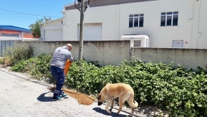 İBB'den Ortaköy Sanayi Bölgesindeki Canlara Yardım Eli