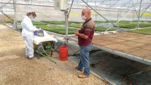 İlçe Tarım'dan Gümüşyakalı Fide Üreticisi Ertan Duyu'nun Serasına Ziyaret