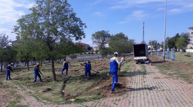 Park ve Bahçeler Müdürlüğü'nden Hummalı Çalışma