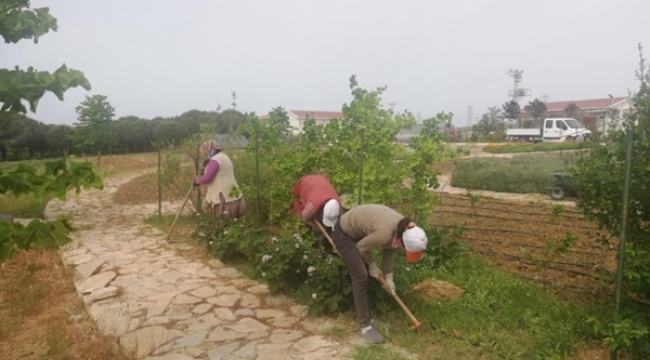 Silivri Belediyesi Üretim Çalışmalarına Devam Ediyor