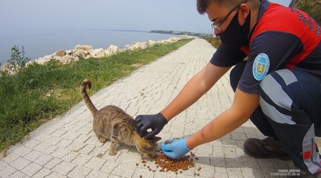 Silivri'de Patili Dostlara Su, Mama ve Şefkat