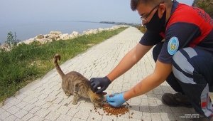 Silivri'de Patili Dostlara Su, Mama ve Şefkat