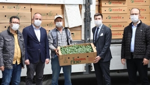 Silivri'nin 16 Mahallesi'nde 70 Üreticiye 200 Bin Adet Ücretsiz Fide Dağıtıldı