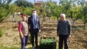 Sokağa Çıkamayan Öğretmen Çiftin Fidelerini "Başkan Esen" Bizzat Götürdü!