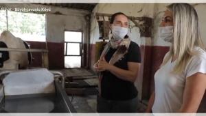 Dilek İmamoğlu'ndan Büyükçavuşlu'daki Gündönümü Çiftliği'ne Ziyaret