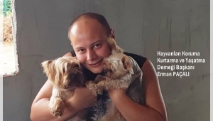 Paçalı, İstanbul Kent Konseyi Hayvan Hakları Çalışma Grubu'nda!