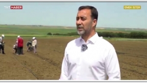 Yılmaz; "250 Ton Arpayla Silivri'de 10 Bin Dönüm Arazi Ekilecek"