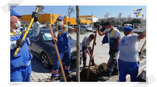 Devlet Hastanesi Yanındaki Otopark Alanına 37 Ağaç