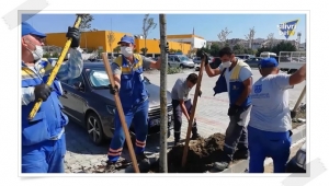 Devlet Hastanesi Yanındaki Otopark Alanına 37 Ağaç