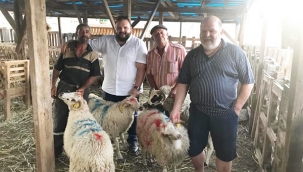 Ersaraç Ailesi Kurbanda Aktaş Çiftliği'ni Tercih Etti
