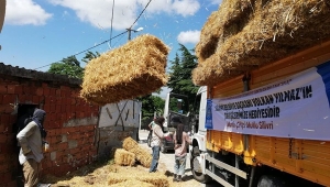 Samanlar Bu Defa Gazitepe ve Sayalar'da Dağıtıldı