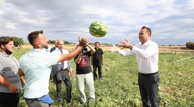 Selimpaşa'da İlk Mahsulü Başkan Yılmaz Topladı