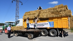 Silivri Belediyesi Köy Köy Saman Dağıtıyor