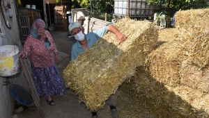 Silivri'de İhtiyaç Sahibi 80 Çiftçiye Saman Desteği